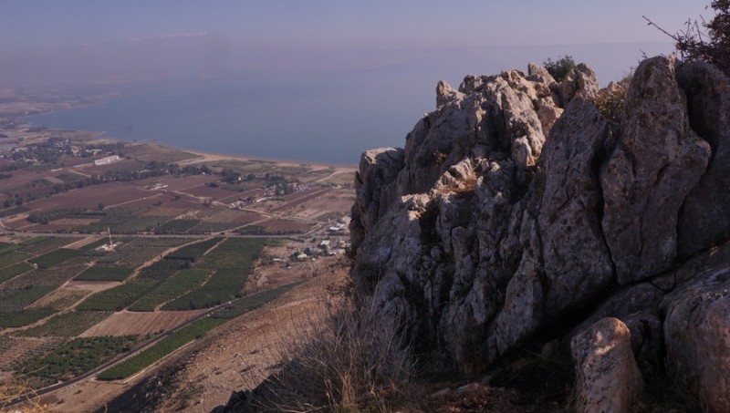 Arbel