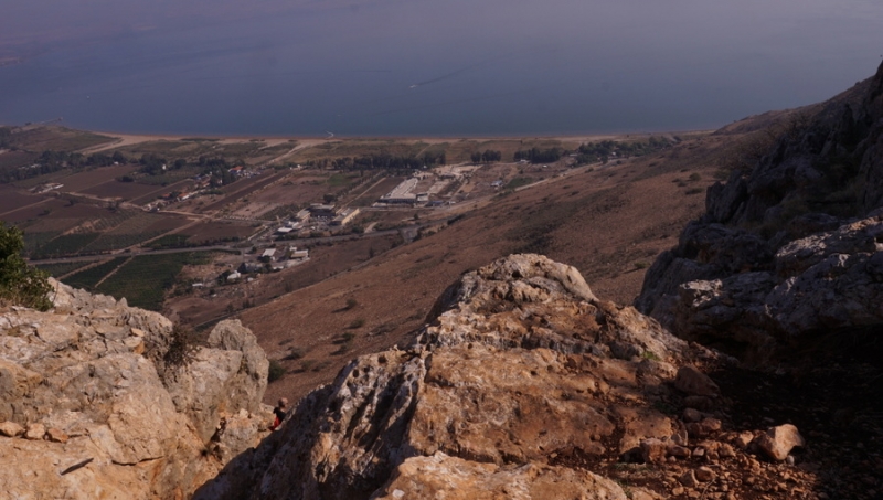 Arbel
