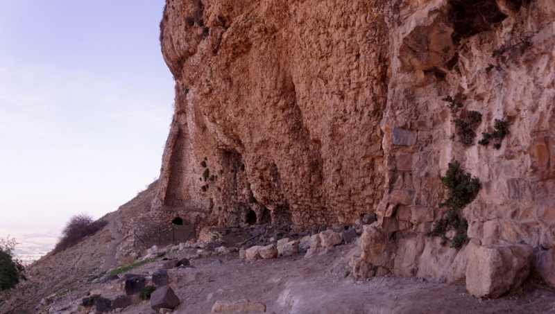 Arbel