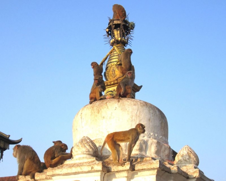 Вокруг Аннапурны, Тиличо (ноябрь-декабрь 2017)