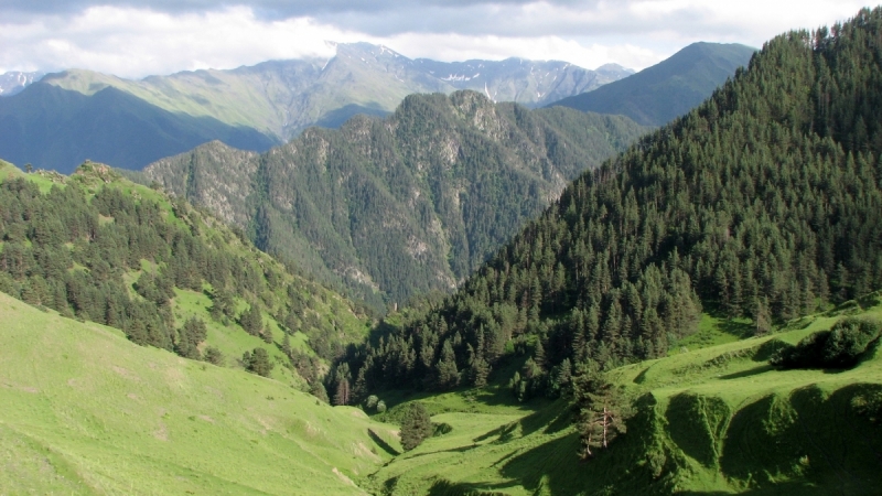 Абули, Тушетия, Квариати. Июль 2017.