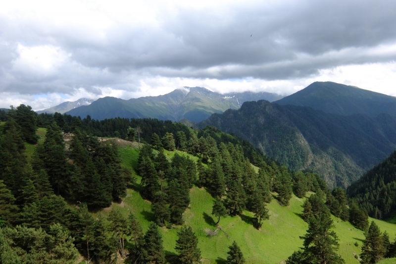 Абули, Тушетия, Квариати. Июль 2017.