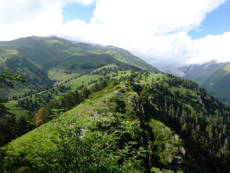 Абули, Тушетия, Квариати. Июль 2017.