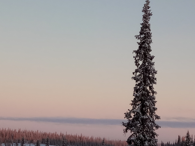 Север. Стынет кровь. Печора, Талый, Каджеро́м, Усть-Лыжы, Паш-Шор, Юрьяха. Без прикрас. 2017окт.