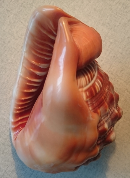 Распродаю сувениры из своих поездок