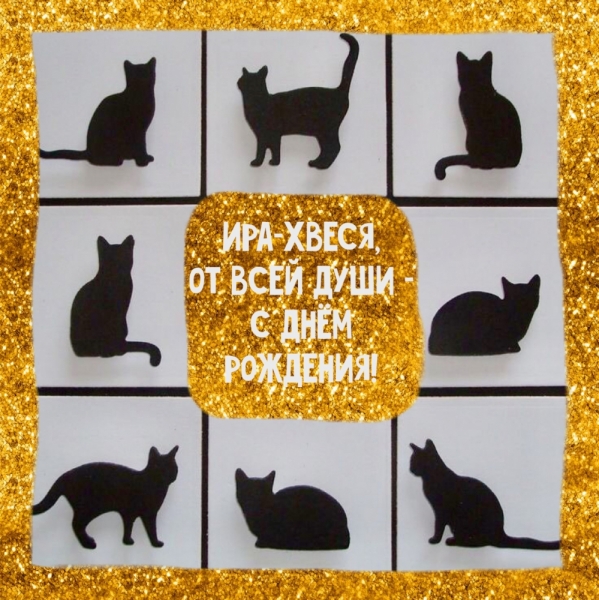 Кошки в нашей жизни. Кошки и все, что с ними связано.