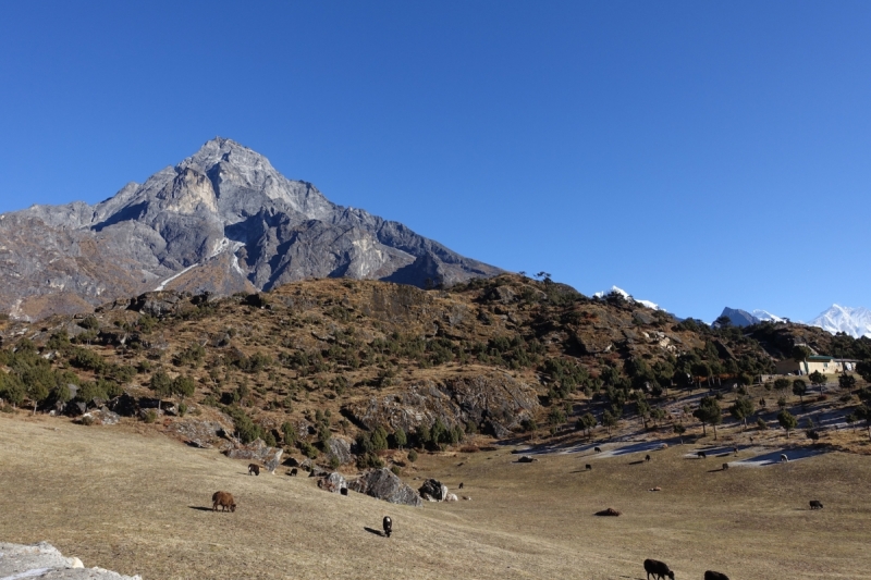 SoluKhumbu : неспешное знакомство. Ноябрь 2017.