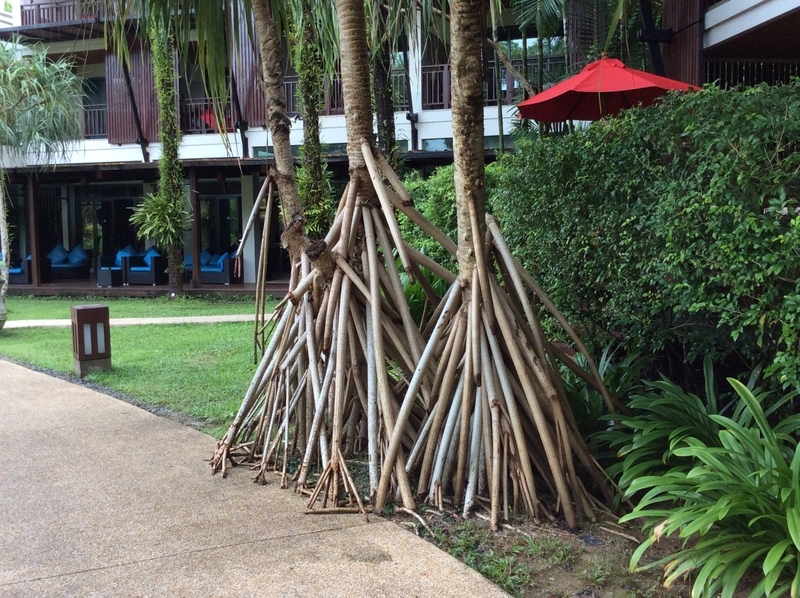 Ноябрь 2017. Khao Lak, Krabi дорого, но классно