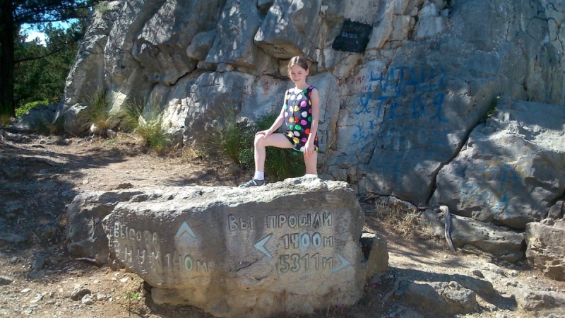 Кошки в нашей жизни. Кошки и все, что с ними связано.