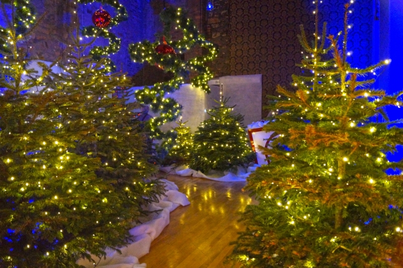 Великобритания в ноябре: рождественские елки, золотой листопад и розы в одном флаконе.