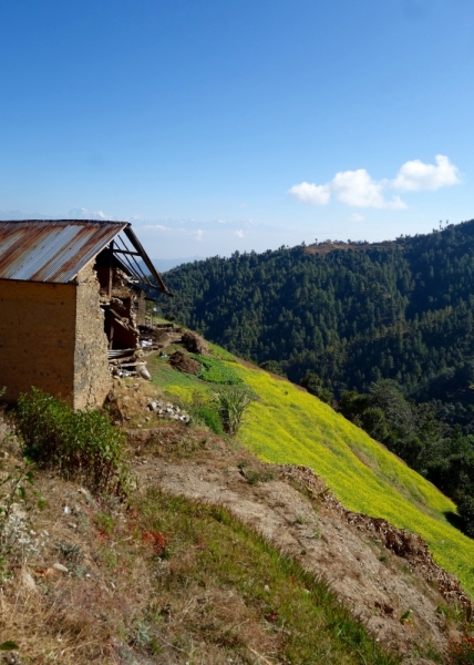 Деревни рядом с Покхарой и Катманду. Homestays. Кухня Непала, тонгба. К Mardi из Hemja.