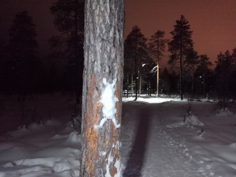 Север. Стынет кровь. Печора, Талый, Каджеро́м, Усть-Лыжы, Паш-Шор, Юрьяха. Без прикрас. 2017окт.