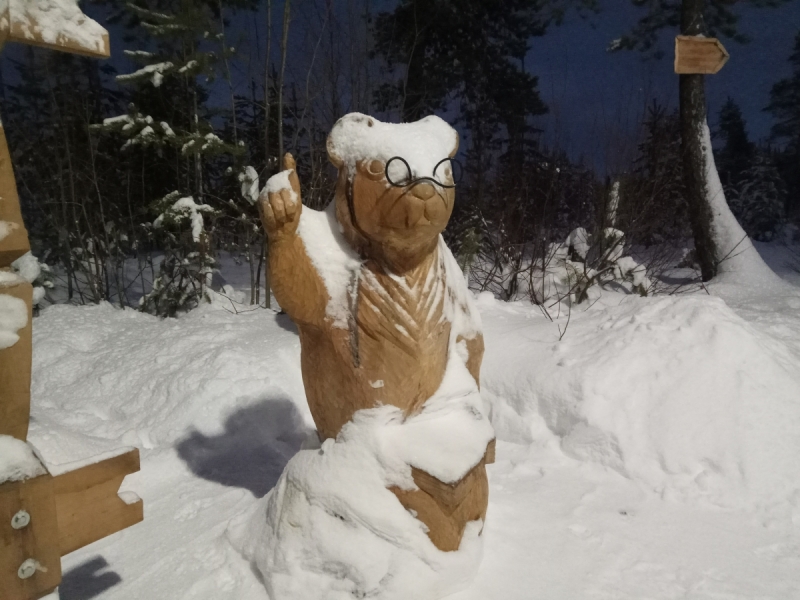 Север. Стынет кровь. Печора, Талый, Каджеро́м, Усть-Лыжы, Паш-Шор, Юрьяха. Без прикрас. 2017окт.