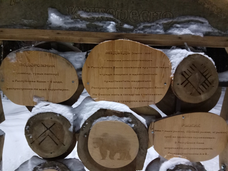 Север. Стынет кровь. Печора, Талый, Каджеро́м, Усть-Лыжы, Паш-Шор, Юрьяха. Без прикрас. 2017окт.