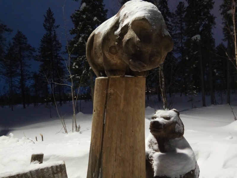 Север. Стынет кровь. Печора, Талый, Каджеро́м, Усть-Лыжы, Паш-Шор, Юрьяха. Без прикрас. 2017окт.