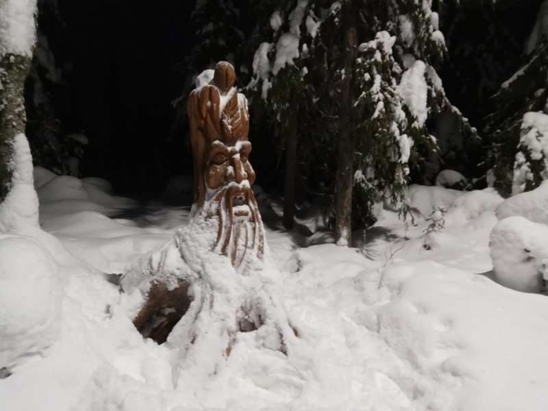 Север. Стынет кровь. Печора, Талый, Каджеро́м, Усть-Лыжы, Паш-Шор, Юрьяха. Без прикрас. 2017окт.