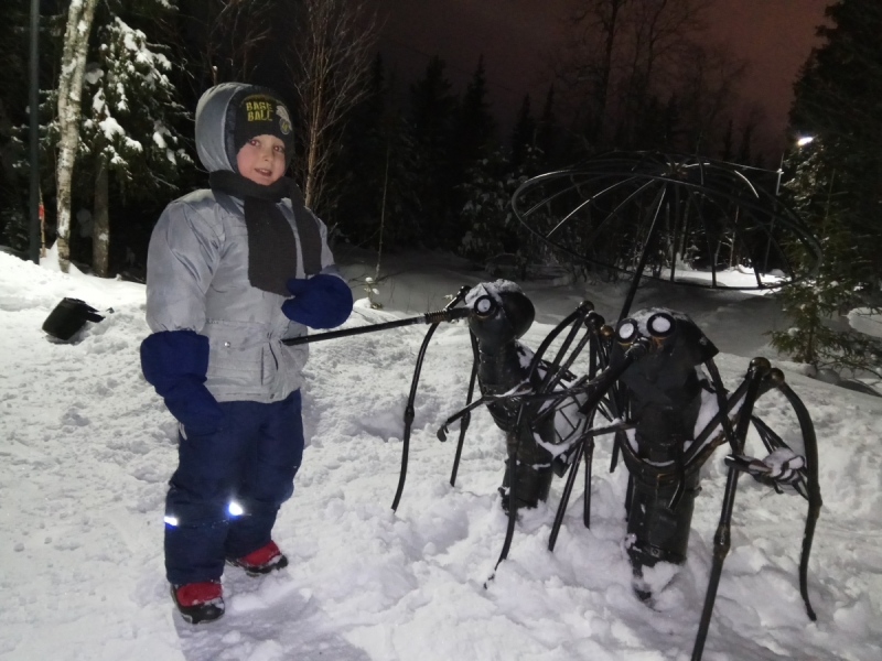 Север. Стынет кровь. Печора, Талый, Каджеро́м, Усть-Лыжы, Паш-Шор, Юрьяха. Без прикрас. 2017окт.
