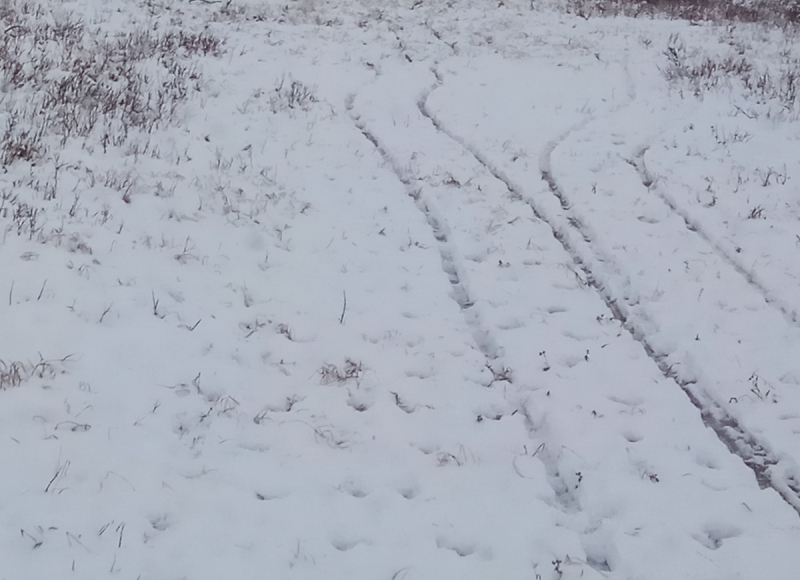 Север. Стынет кровь. Печора, Талый, Каджеро́м, Усть-Лыжы, Паш-Шор, Юрьяха. Без прикрас. 2017окт.