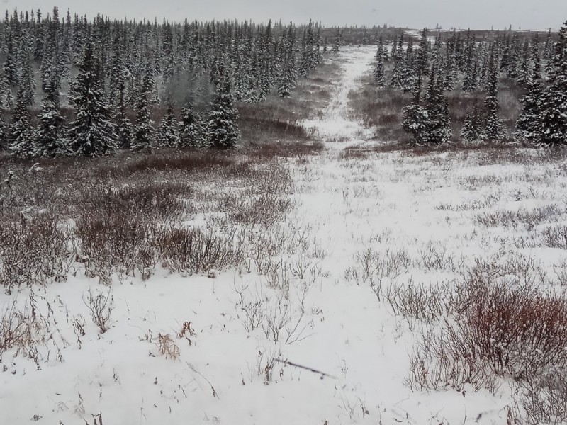 Север. Стынет кровь. Печора, Талый, Каджеро́м, Усть-Лыжы, Паш-Шор, Юрьяха. Без прикрас. 2017окт.