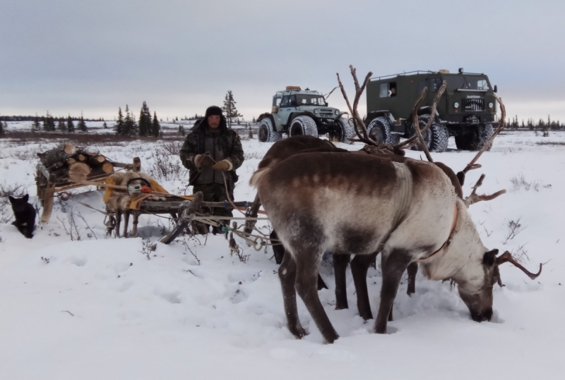 Север. Стынет кровь. Печора, Талый, Каджеро́м, Усть-Лыжы, Паш-Шор, Юрьяха. Без прикрас. 2017окт.