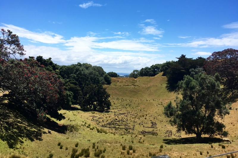 Auckland.Live