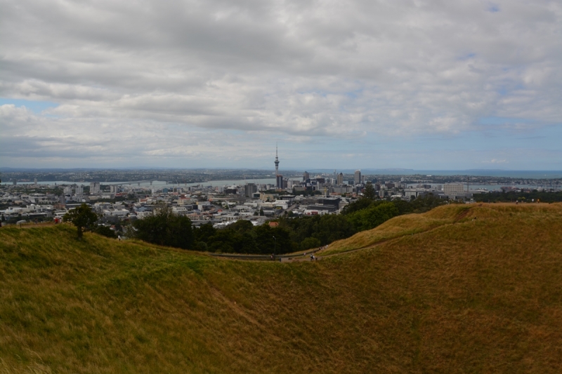 Auckland.Live