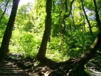 Хорватия. 9 дней одного года (сент. 2011). Одна. Автобусами.