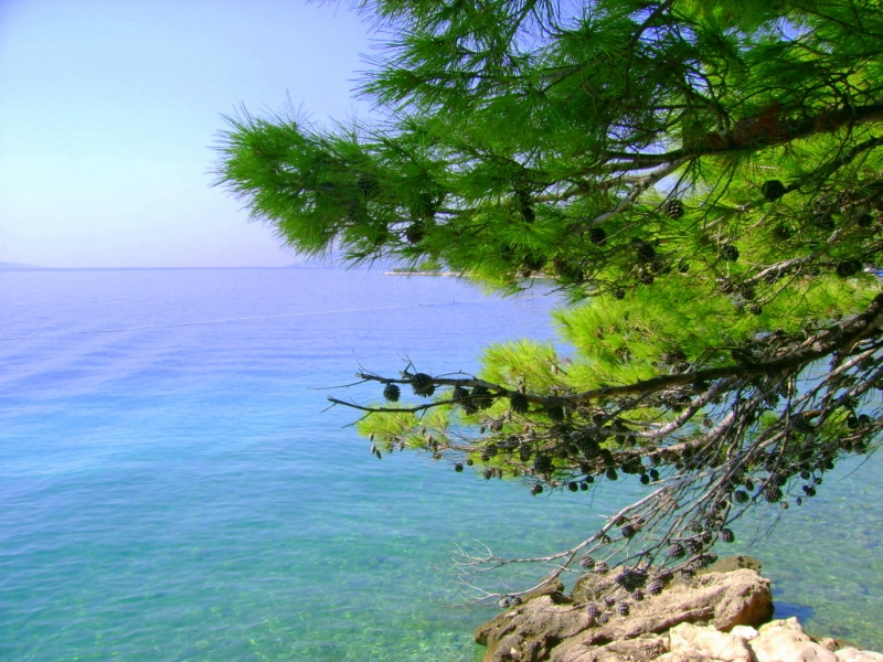 Хорватия. 9 дней одного года (сент. 2011). Одна. Автобусами.