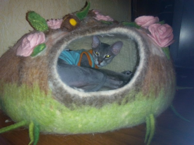 Кошки в нашей жизни. Кошки и все, что с ними связано.