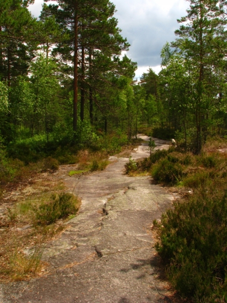 Тропа Jeturkastin, гора Hiidenvuori и линия Salpa (июль 2017)