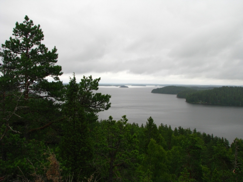 Тропа Jeturkastin, гора Hiidenvuori и линия Salpa (июль 2017)