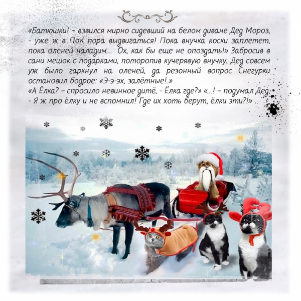 Кошки в нашей жизни. Кошки и все, что с ними связано.