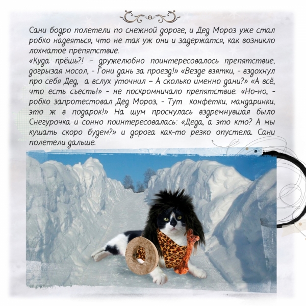 Кошки в нашей жизни. Кошки и все, что с ними связано.