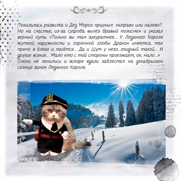 Кошки в нашей жизни. Кошки и все, что с ними связано.