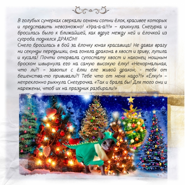 Кошки в нашей жизни. Кошки и все, что с ними связано.