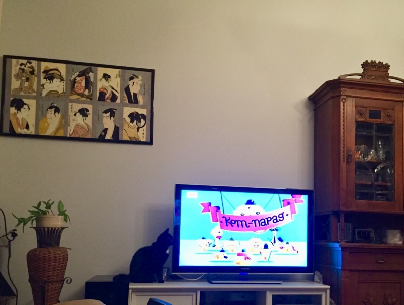 Кошки в нашей жизни. Кошки и все, что с ними связано.