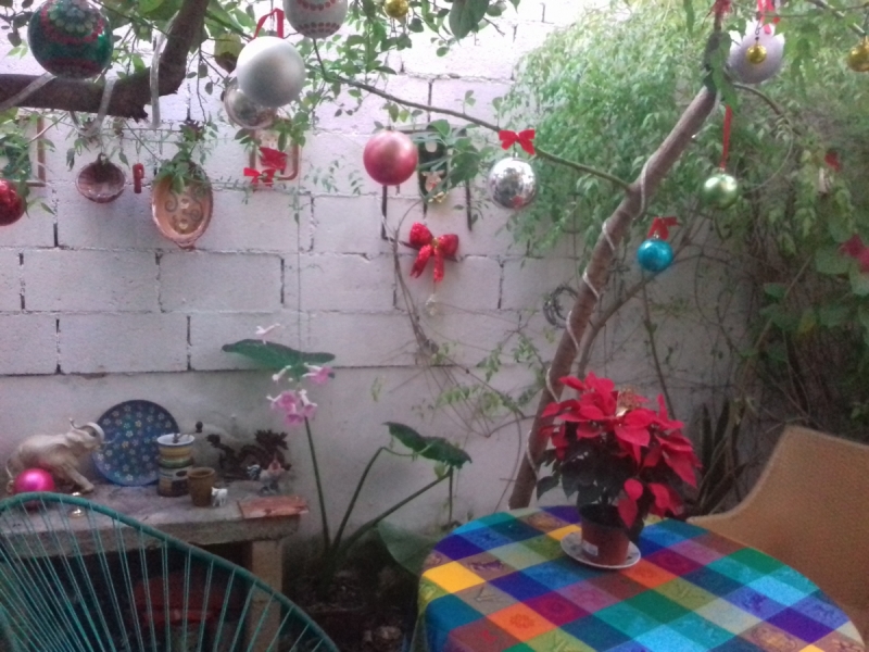 Мои вторые пятьдесят (онлайн-дневник). Канкун и немного Техаса.