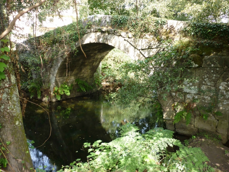 Camino Portugues, осень, старт из Браги.