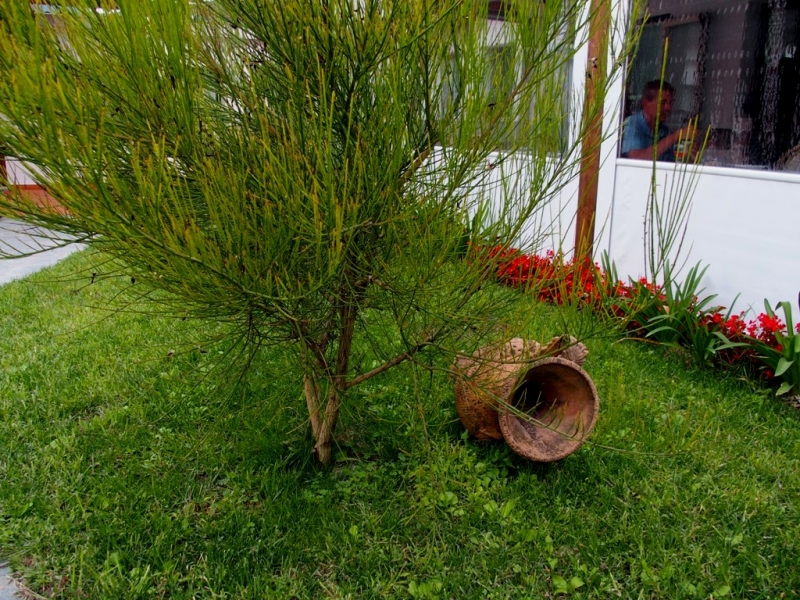 «Не съем, так понадкусываю…» Кампания –Неаполь, Искья, Капри, Равелло, Майори, Помпеи