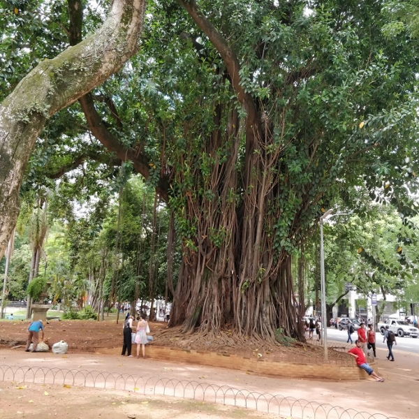 новый 2018 год -> Sao Paulo, Rio, Iguazu, Buenos