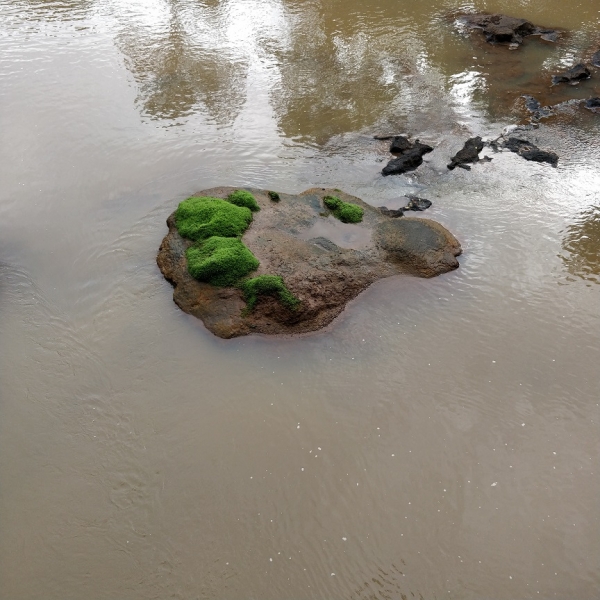 новый 2018 год -> Sao Paulo, Rio, Iguazu, Buenos