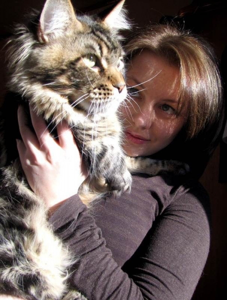 Кошки в нашей жизни. Кошки и все, что с ними связано.