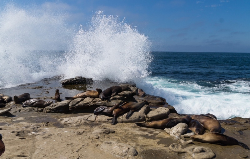 Запад США за 20 дней (август – сентябрь 2017г.) за 3500 $ / 200 тыс.руб (машина и палатка)