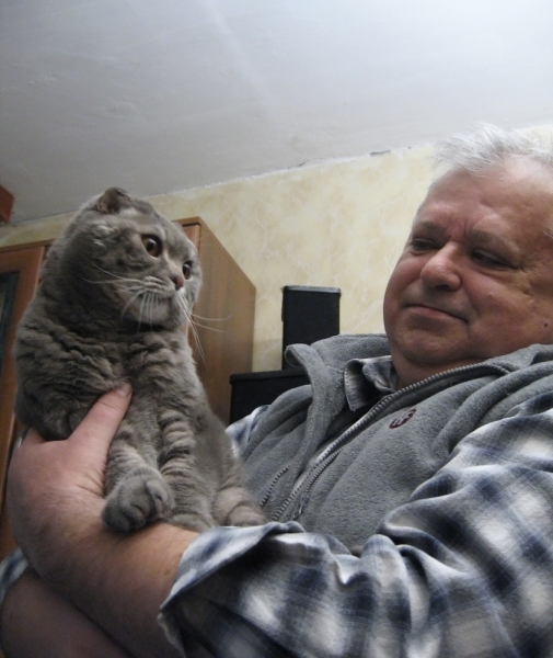 Кошки в нашей жизни. Кошки и все, что с ними связано.