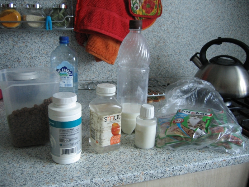 Кошки в нашей жизни. Кошки и все, что с ними связано.