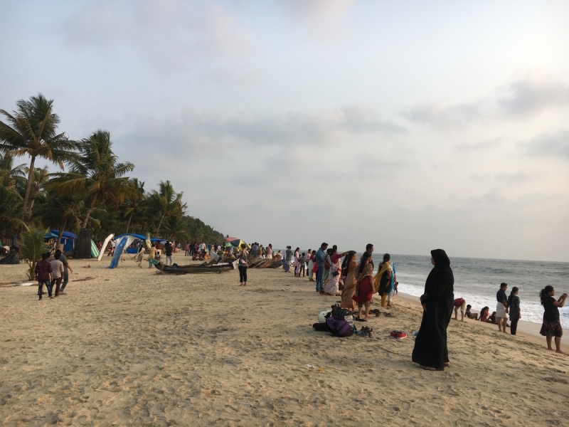 Керала. Как лучше?