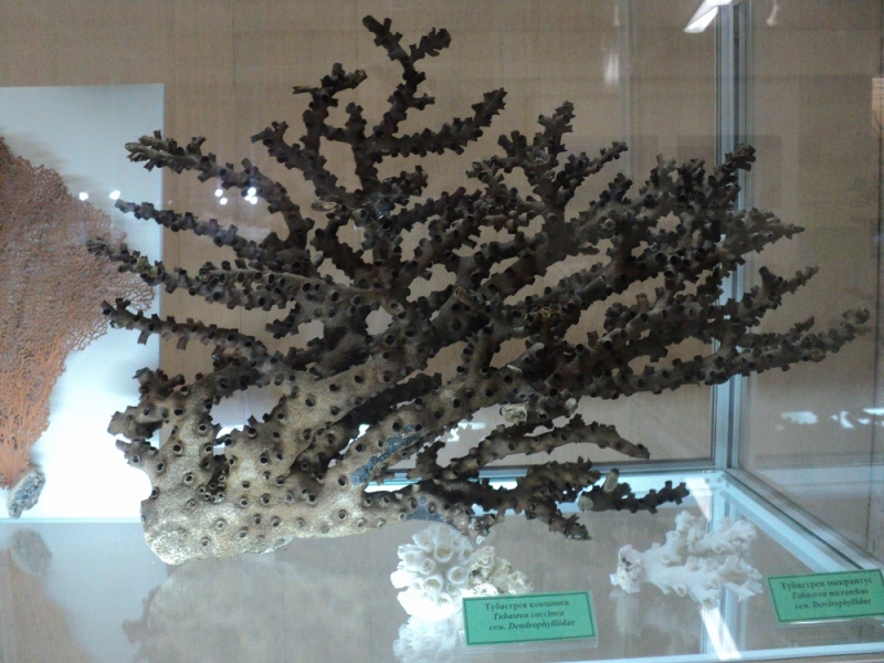 Владивосток или Туда и Обратно поездом