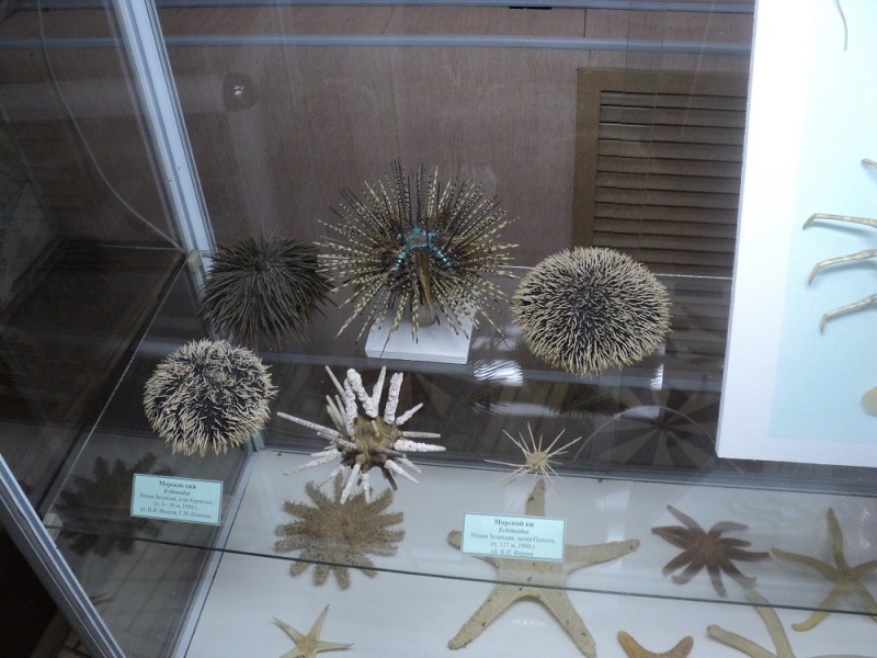 Владивосток или Туда и Обратно поездом