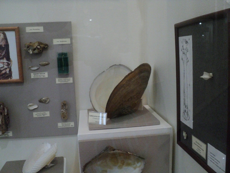 Владивосток или Туда и Обратно поездом