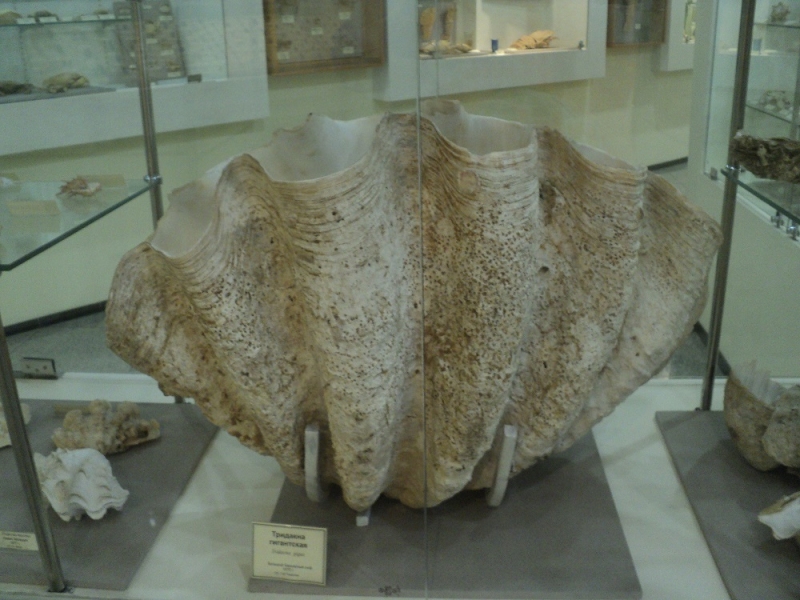 Владивосток или Туда и Обратно поездом